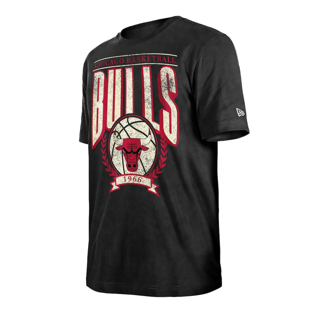 Chicago Bulls Throwback Vintage Boxy Mineral Wash T-Shirt sale For Sale