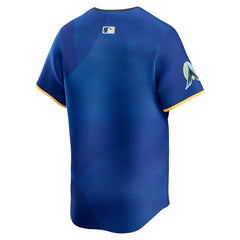 Minnesota Twins Nike City Connect Limited Jersey | MLB For sale