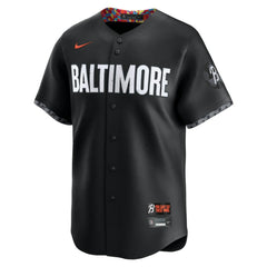 Adley Rutschman Baltimore Orioles Nike City Connect Limited Jersey | MLB Discount