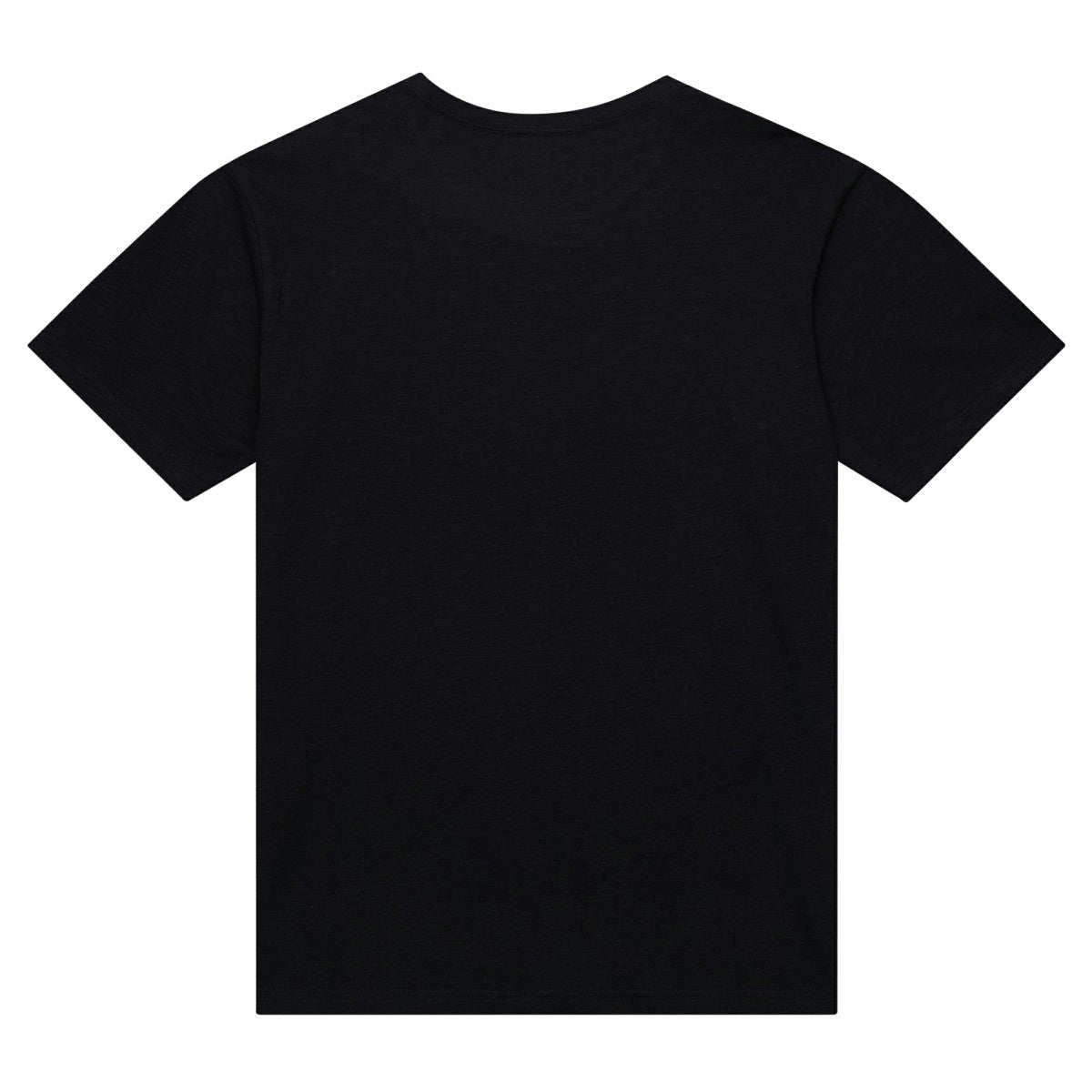 Sacramento Kings Hardwood Classics Felt Applique Slub T-Shirt Online