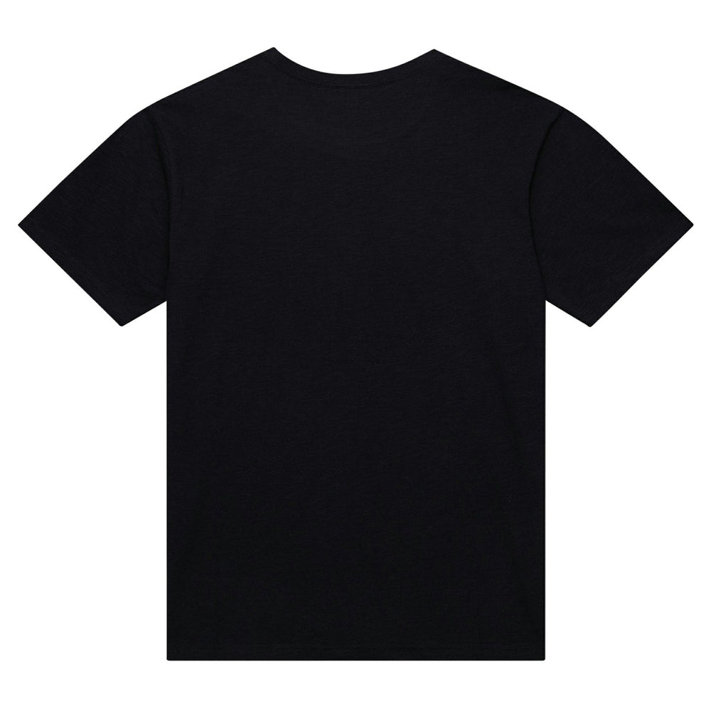 Sacramento Kings Hardwood Classics Felt Applique Slub T-Shirt Online