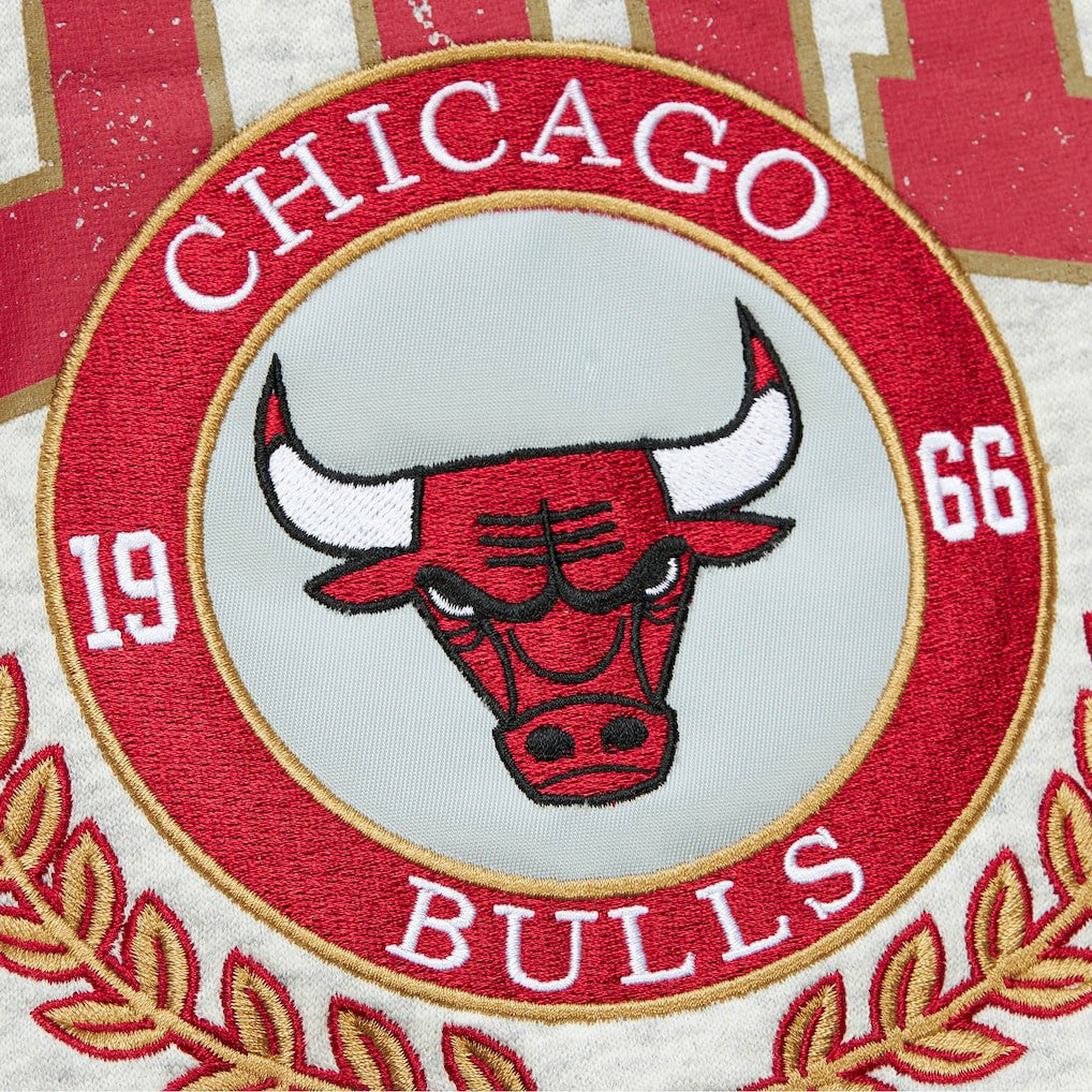 Chicago Bulls Vintage Logo Pullover Sweatshirt On Sale
