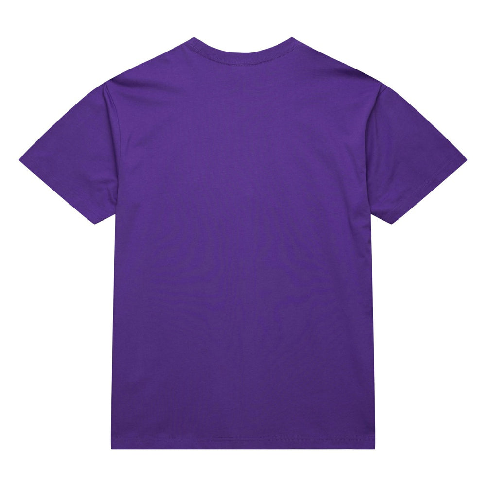 Toronto Raptors Hardwood Classics Neon Nights Premium T-Shirt Online