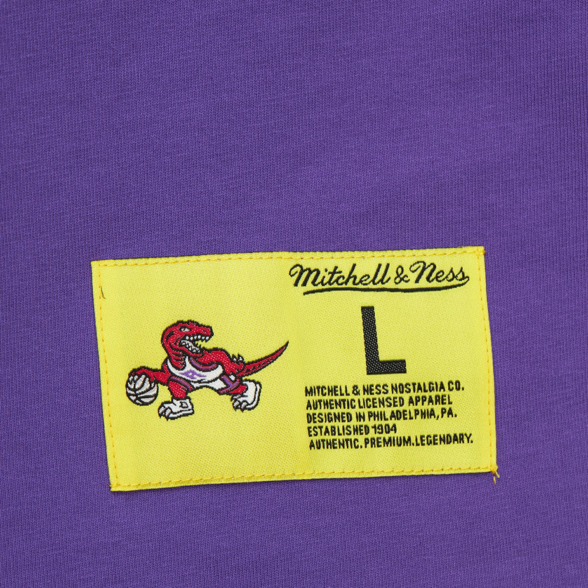 Toronto Raptors Hardwood Classics Neon Nights Premium T-Shirt Online