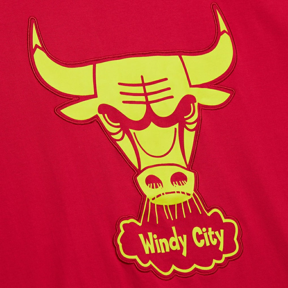 Chicago Bulls Hardwood Classics Neon Nights Premium T-Shirt sale Discount