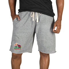 Arizona Cardinals  Concepts Sport Mainstream Tri-Blend Shorts