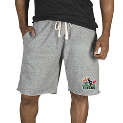 Houston Texans  Concepts Sport Mainstream Tri-Blend Shorts