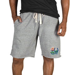 Indianapolis Colts  Concepts Sport Mainstream Tri-Blend Shorts