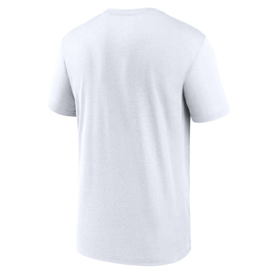 Tampa Bay Buccaneers Nike Legend Icon Performance T-Shirt