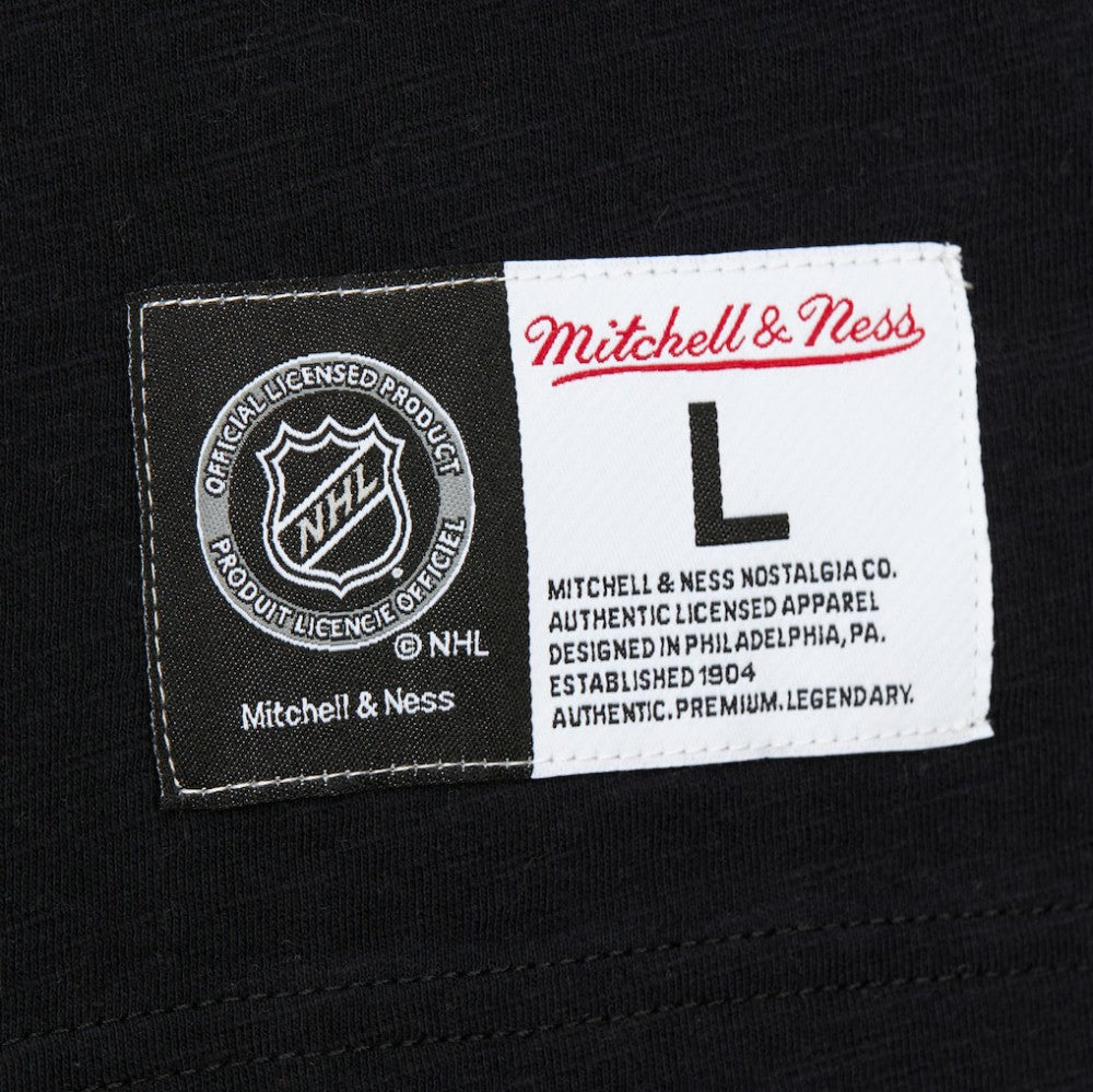 San Jose Sharks Mitchell & Ness Legendary Slub Raglan Long Sleeve T-Shirt Online