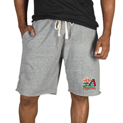 Arizona Diamondbacks Concepts Sport Mainstream Tri-Blend Shorts | MLB Near me