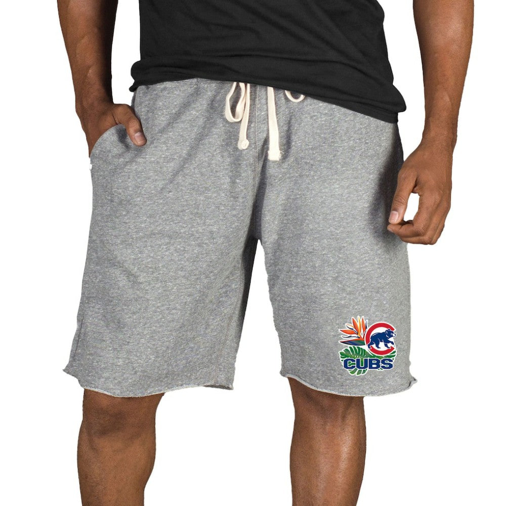 Chicago Cubs Concepts Sport Mainstream Tri-Blend Shorts | MLB For sale