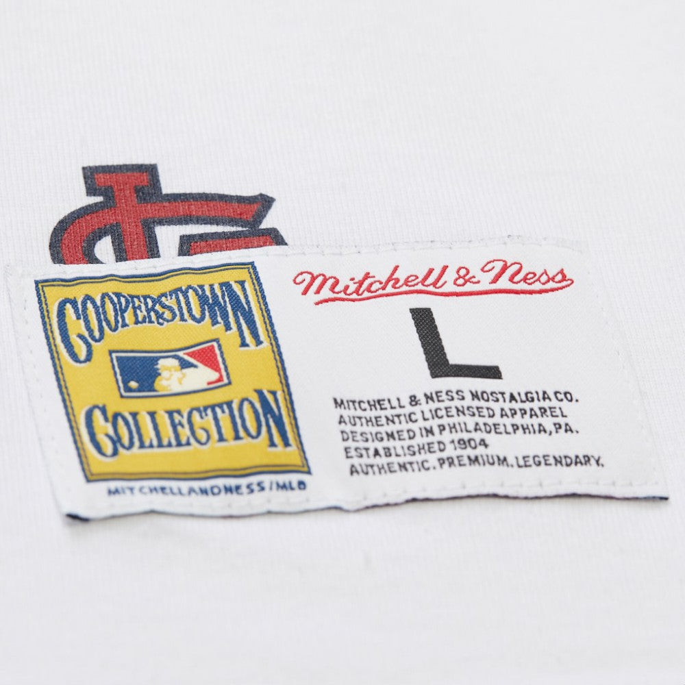 St. Louis Cardinals Mitchell & Ness Cooperstown Collection Team Origins Premium T-Shirt | MLB New