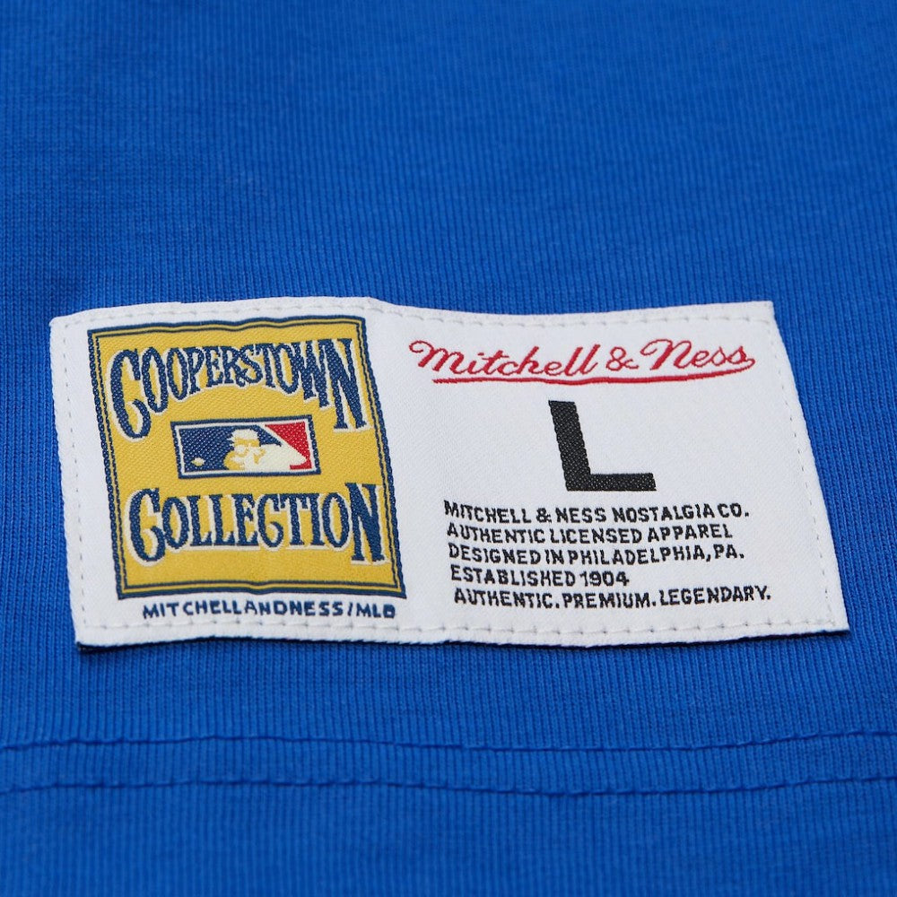 Hank Aaron Atlanta Braves Mitchell & Ness Legends Collection Vintage Logo T-Shirt | MLB Online