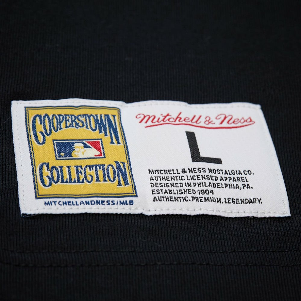 Roberto Clemente Pittsburgh Pirates Mitchell & Ness Legends Collection Vintage Logo T-Shirt | MLB Discount