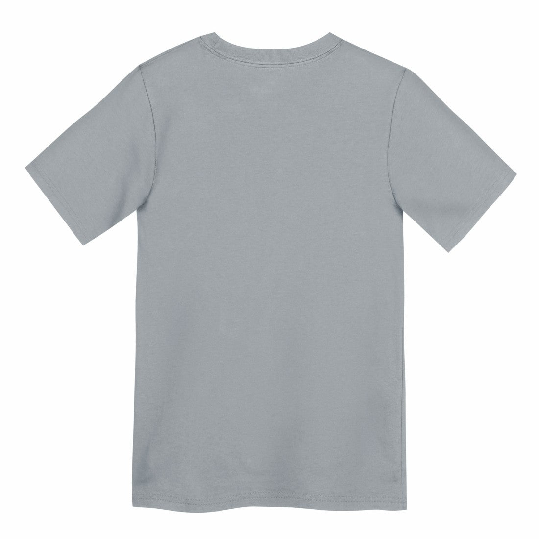 Detroit Lions Nike Preschool Icon Legend Dri-FIT T-Shirt