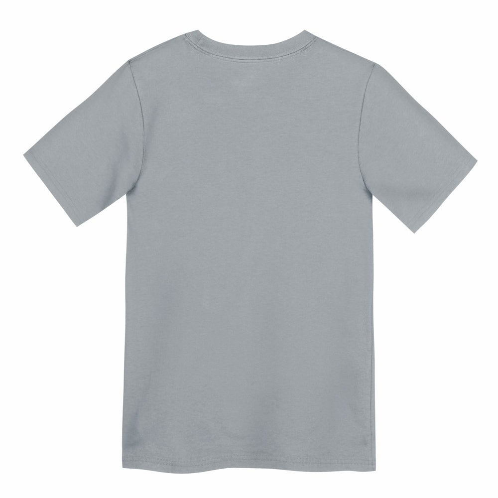 Detroit Lions Nike Preschool Icon Legend Dri-FIT T-Shirt