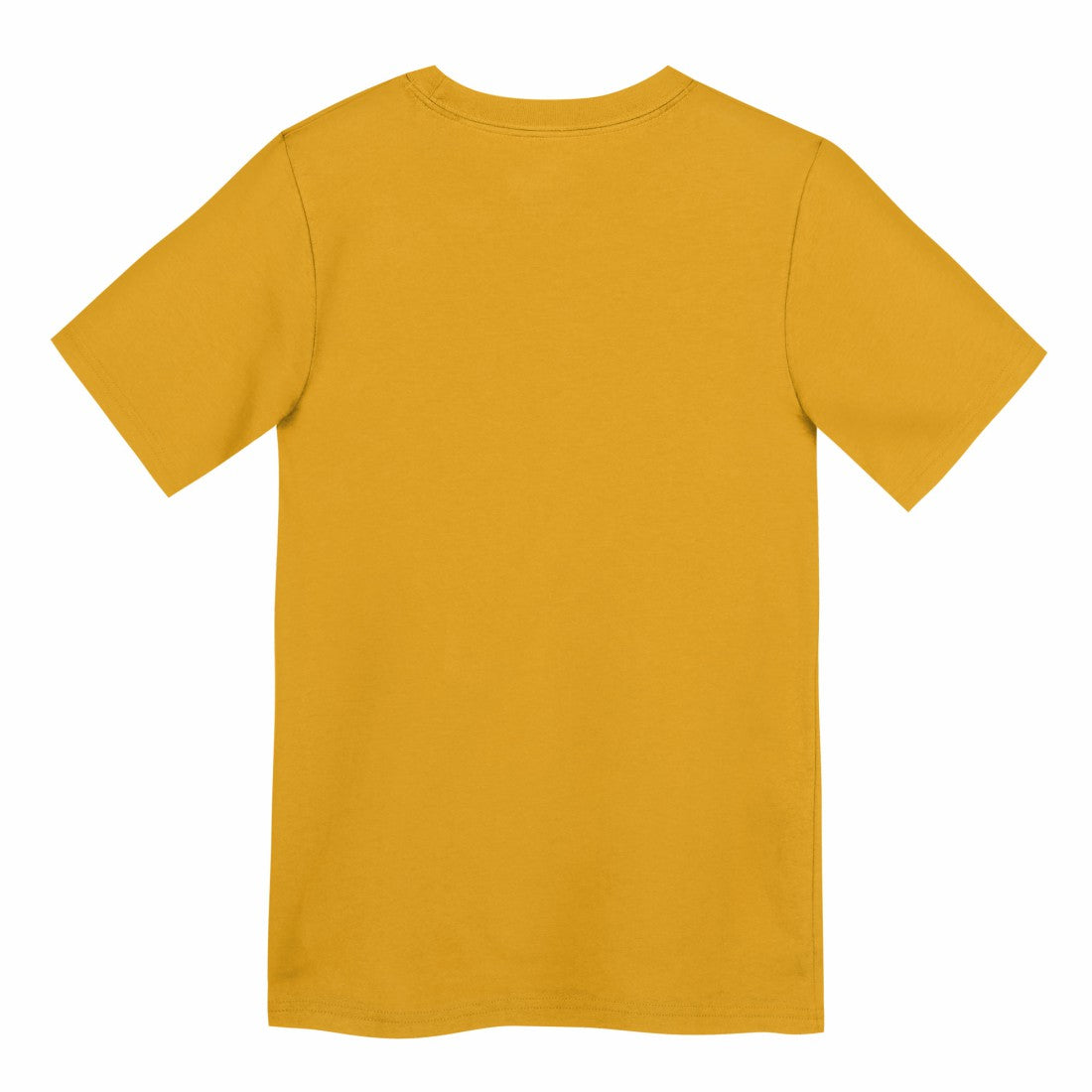 Green Bay Packers Nike Preschool Icon Legend Dri-FIT T-Shirt
