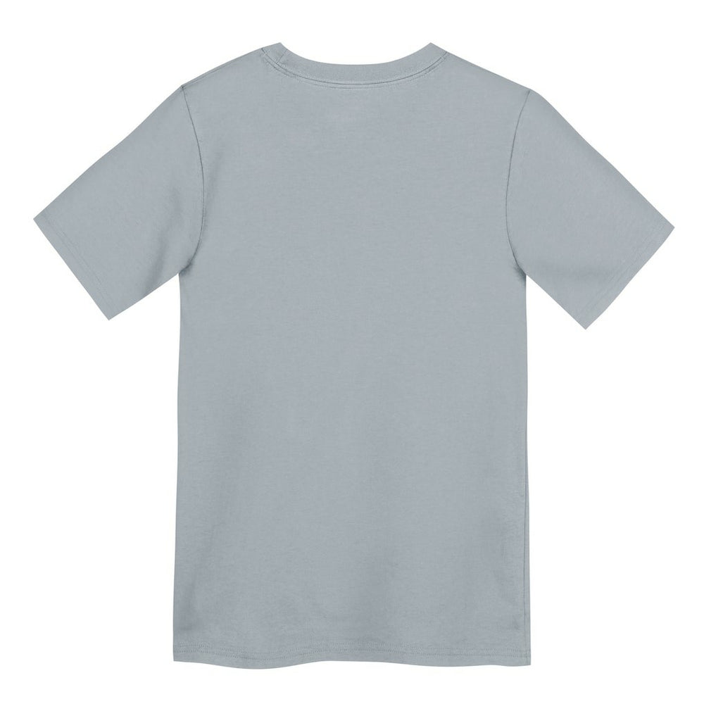 Las Vegas Raiders Nike Preschool Icon Legend Dri-FIT T-Shirt