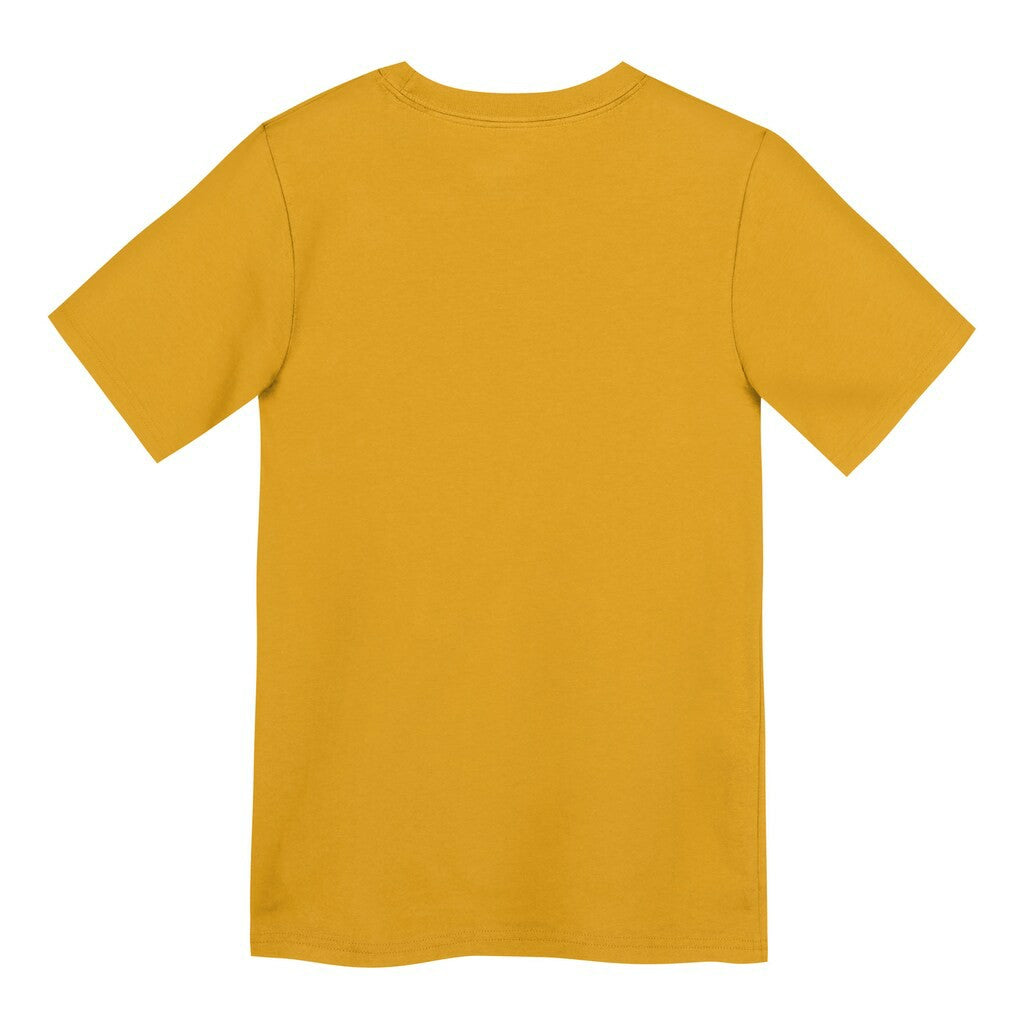 Pittsburgh Steelers Nike Preschool Icon Legend Dri-FIT T-Shirt