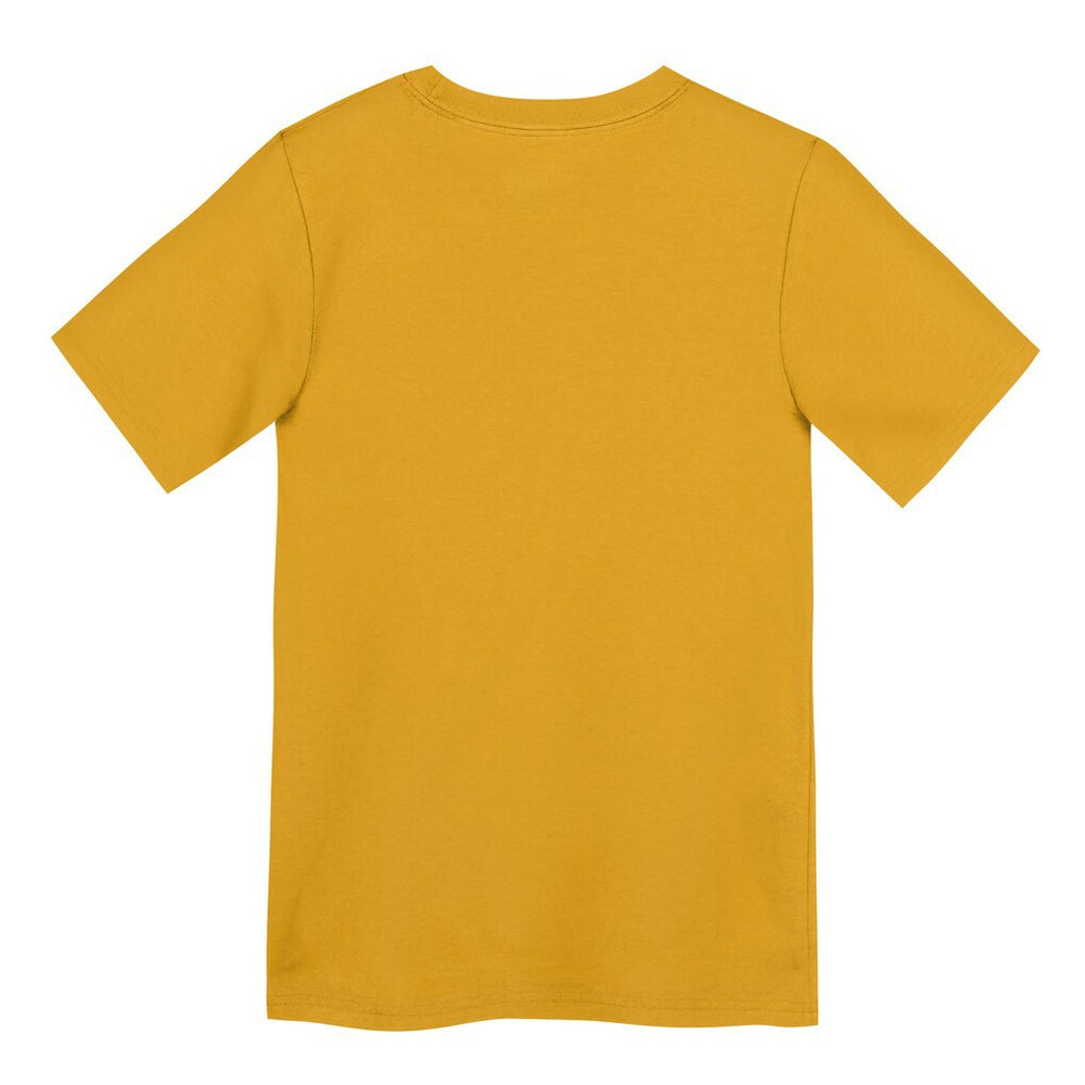 Pittsburgh Steelers Nike Preschool Icon Legend Dri-FIT T-Shirt
