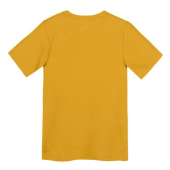Pittsburgh Steelers Nike Preschool Icon Legend Dri-FIT T-Shirt