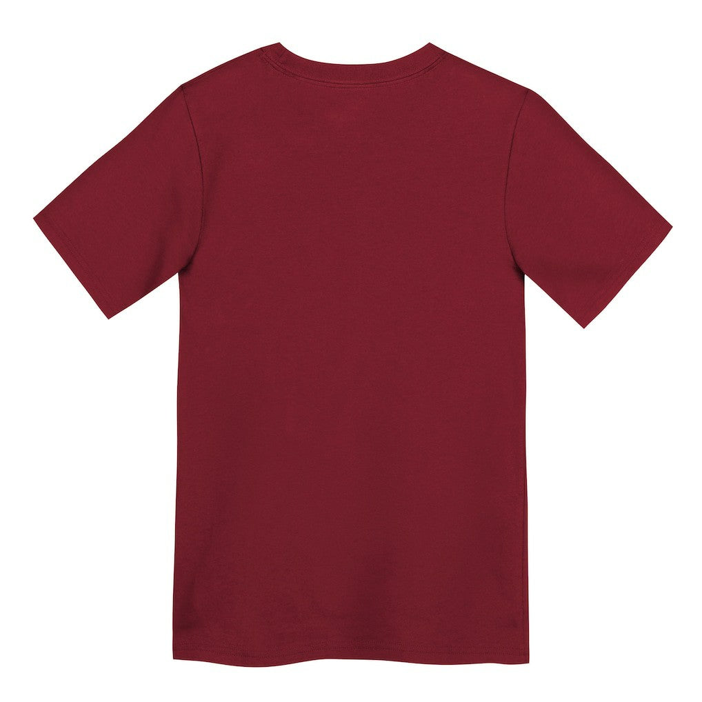 San Francisco 49ers Nike Preschool Primary Logo Legend Performance T-Shirt