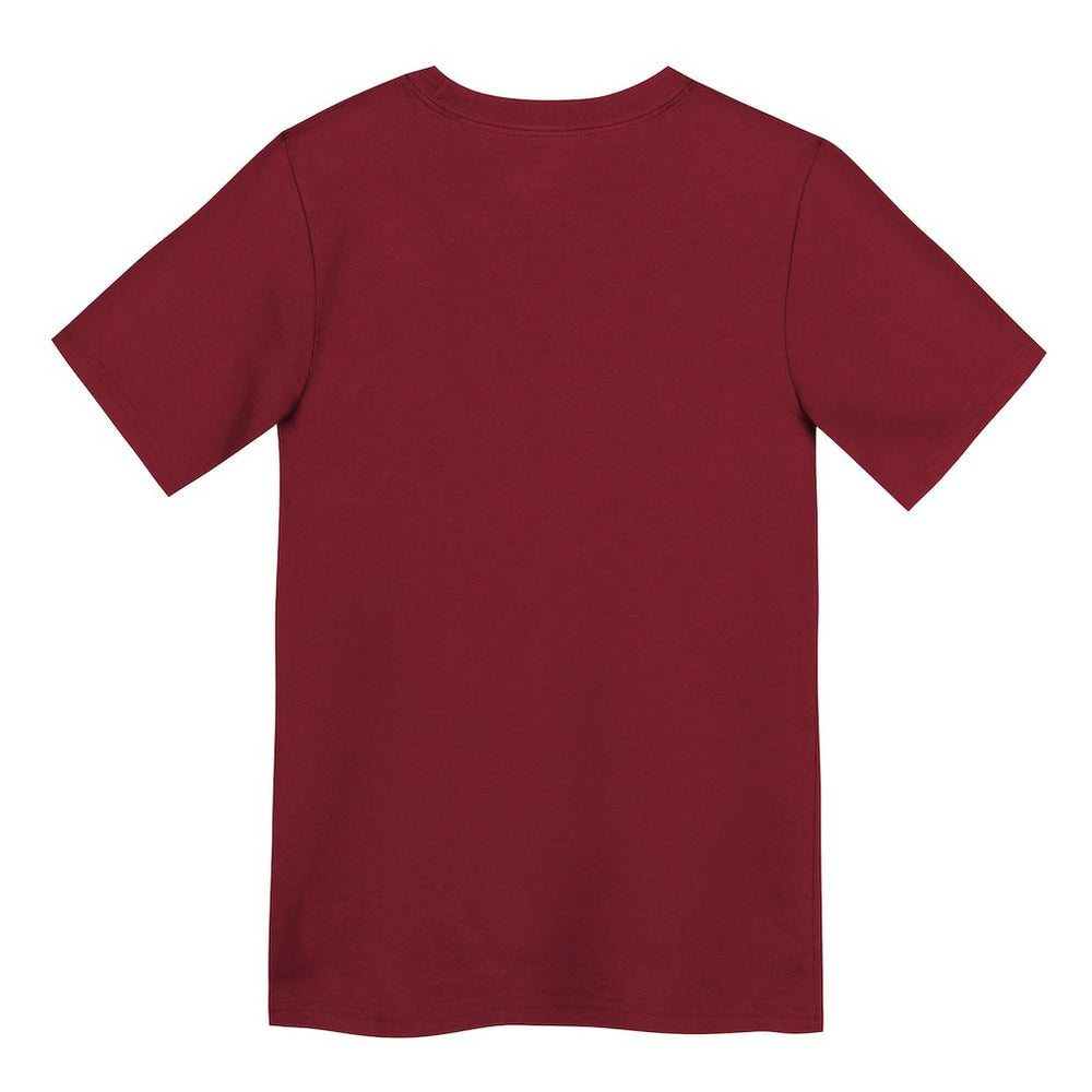 San Francisco 49ers Nike Preschool Primary Logo Legend Performance T-Shirt
