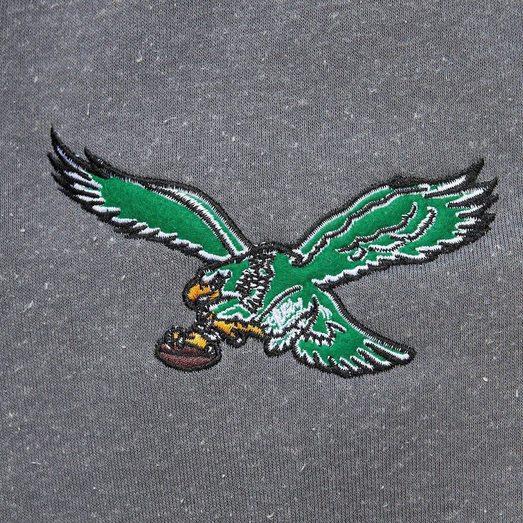Philadelphia Eagles Mitchell & Ness Vintage Logo Snow Washed Fleece Pullover Hoodie