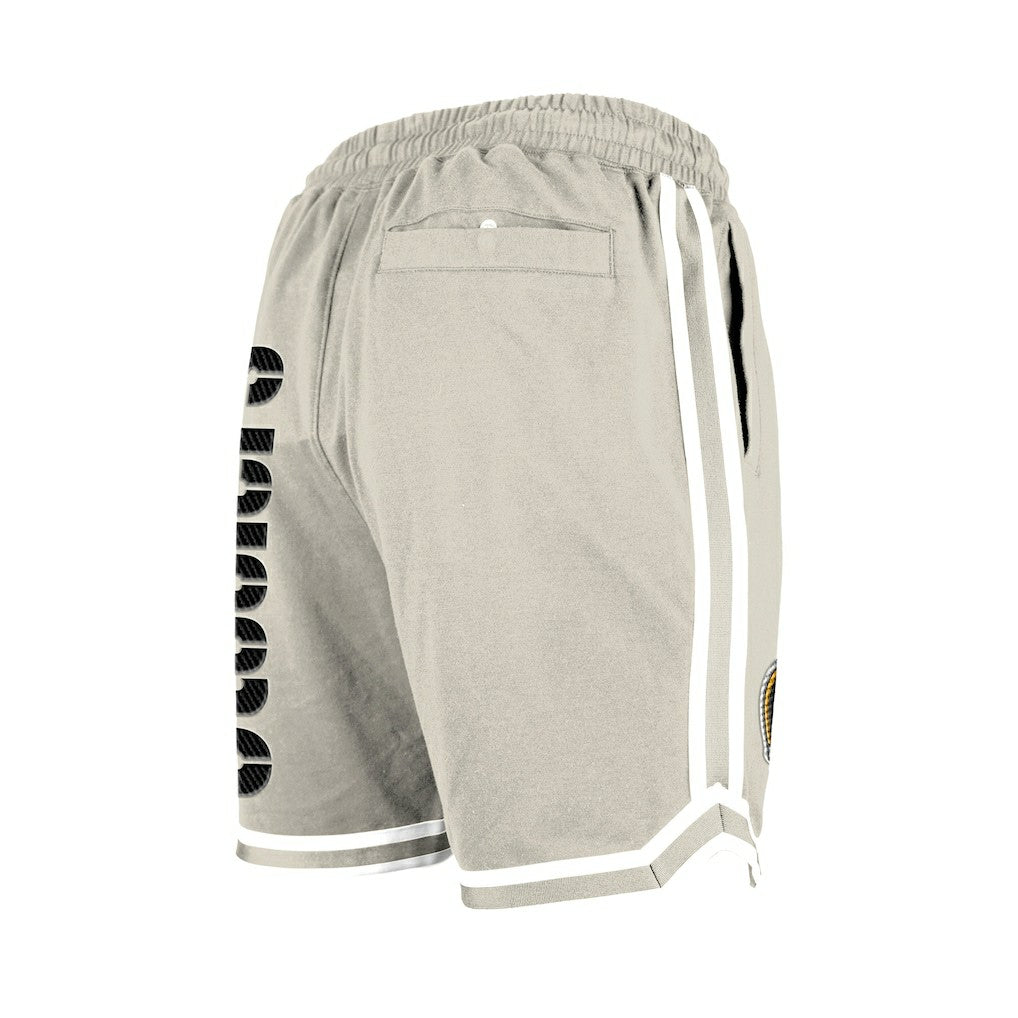 Pittsburgh Steelers New Era Stone Multi Patch Shorts