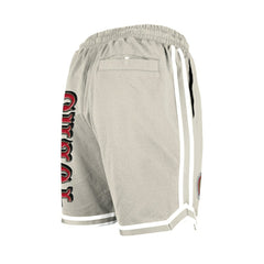 San Francisco 49ers New Era Stone Multi Patch Shorts