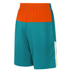 Miami Dolphins  Youth Fandemonium Mesh Shorts