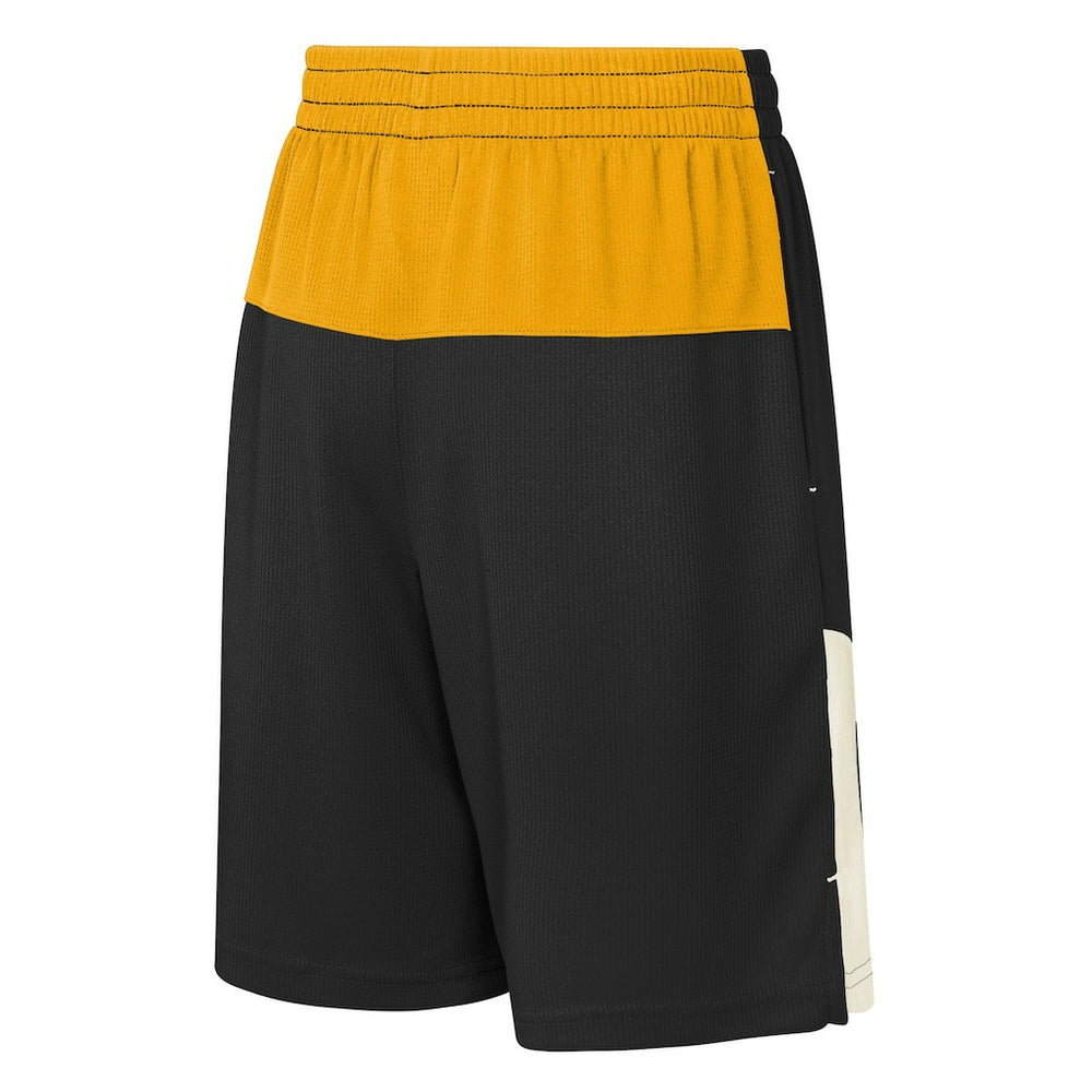 Pittsburgh Steelers  Youth Fandemonium Mesh Shorts