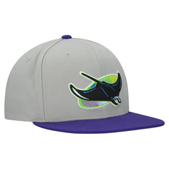 Tampa Bay Rays Mitchell & Ness Cooperstown Collection Basic Flip Snapback Hat | MLB Online
