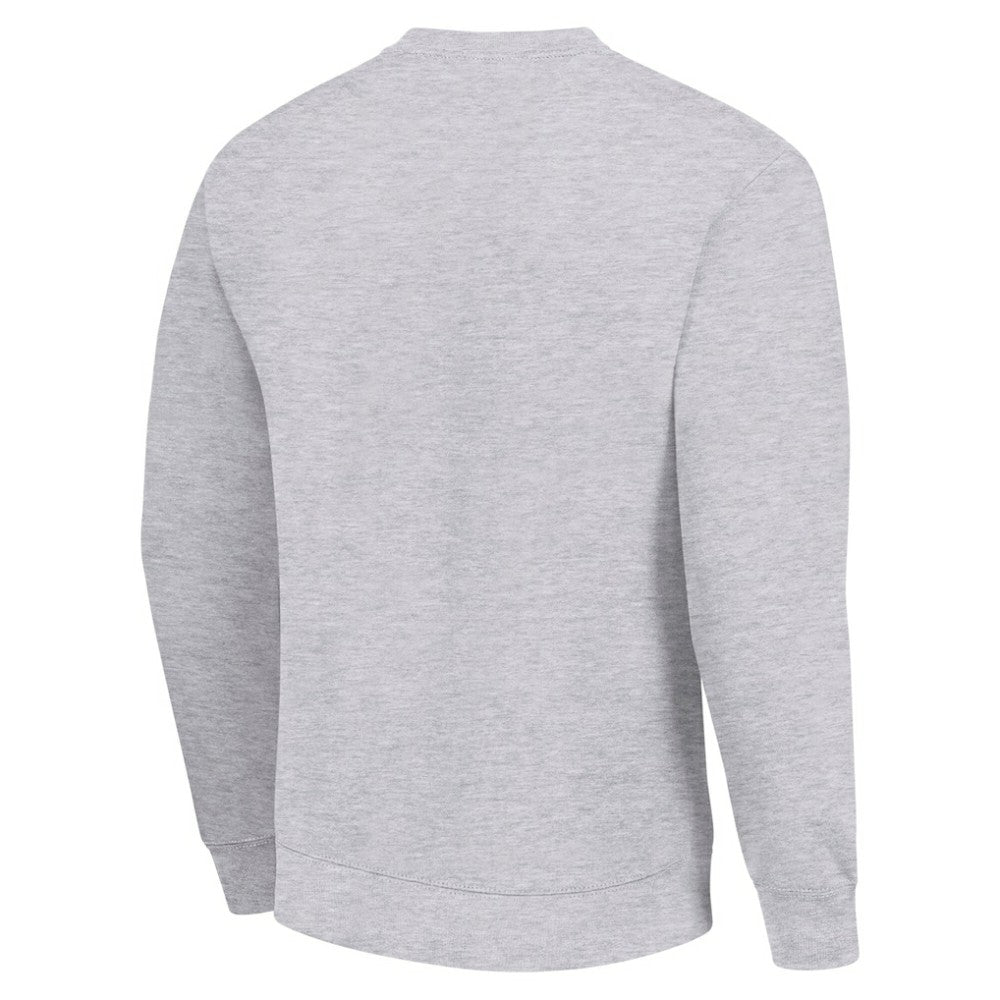 Minnesota Wild Men's Starter Team Logo Fleece Pullover Sweatshirt Outlet
