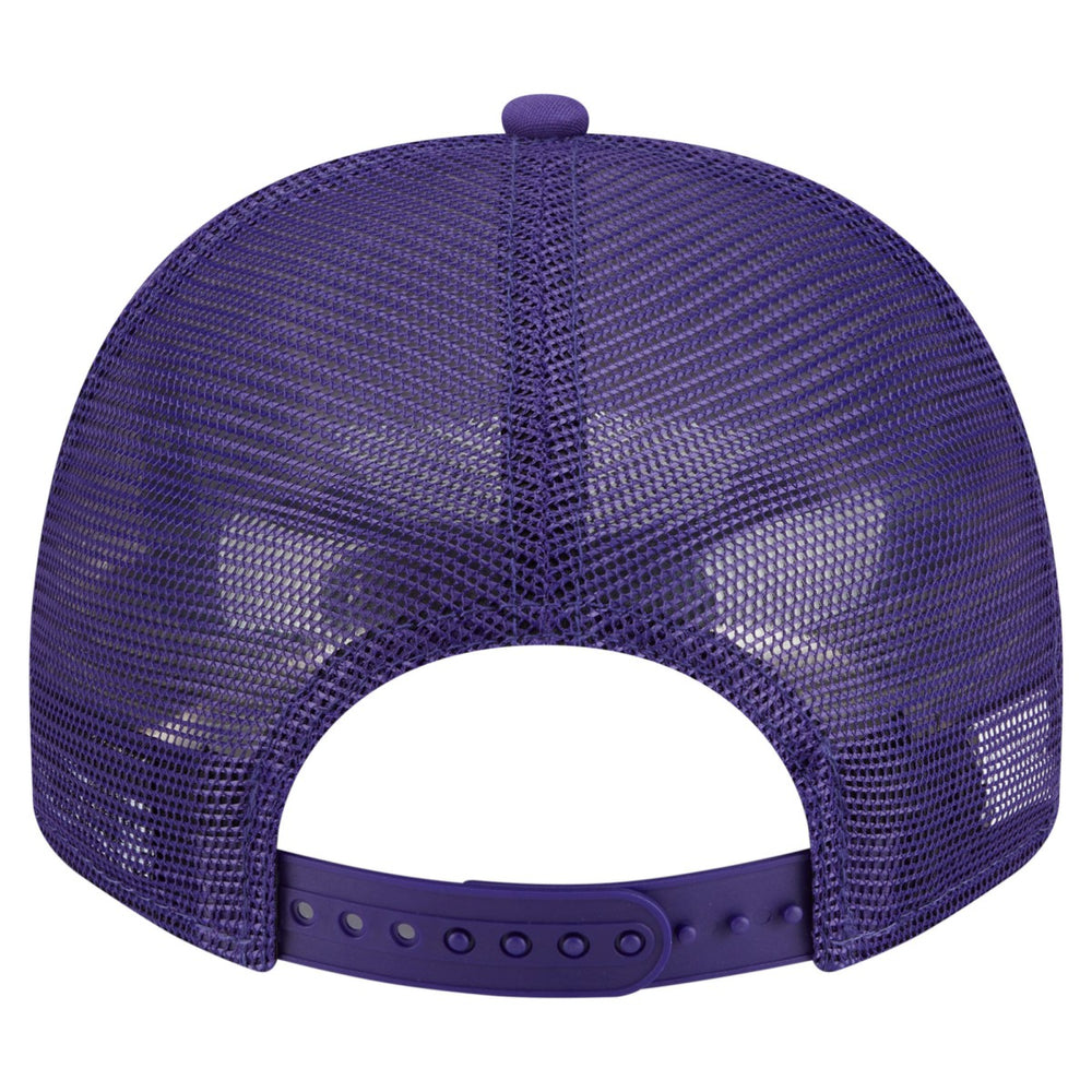 Phoenix Suns Vintage Team Rope A-Frame 9FIFTY Snapback Hat New