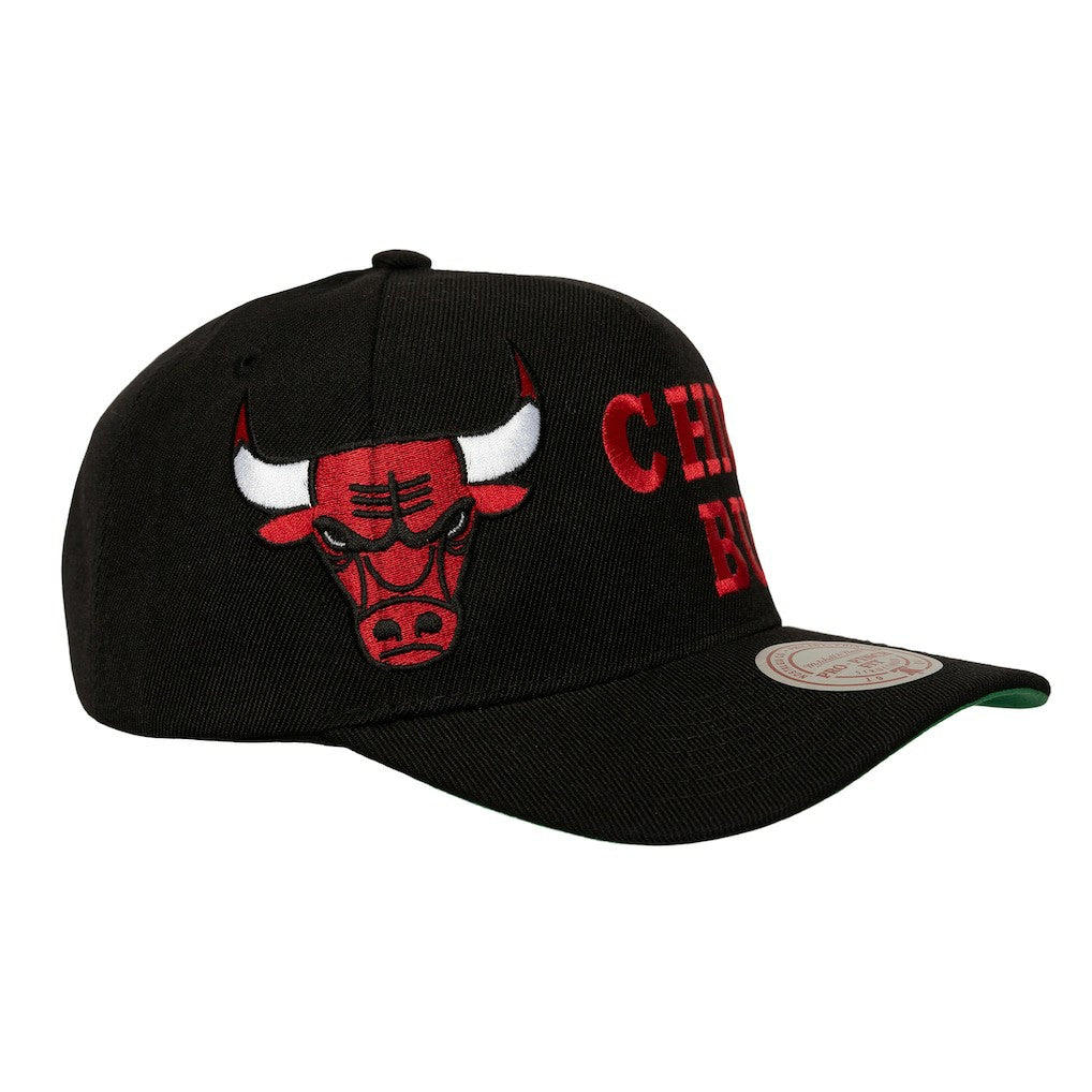 Chicago Bulls Busted Logo Wordmark Wrap-Around Pro Pinch Adjustable Hat Online