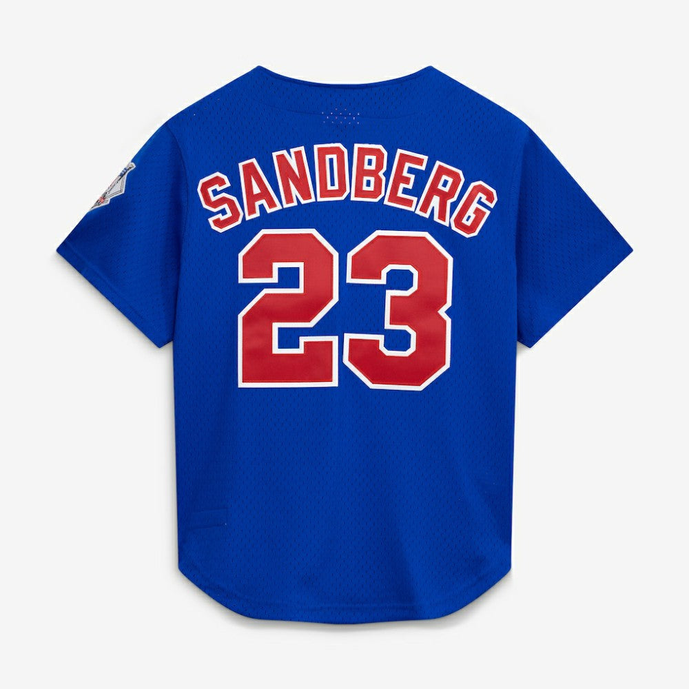 Ryne Sandberg Chicago Cubs Mitchell & Ness Cooperstown Collection 1997 Mesh Batting Practice Button-Up Jersey | MLB US