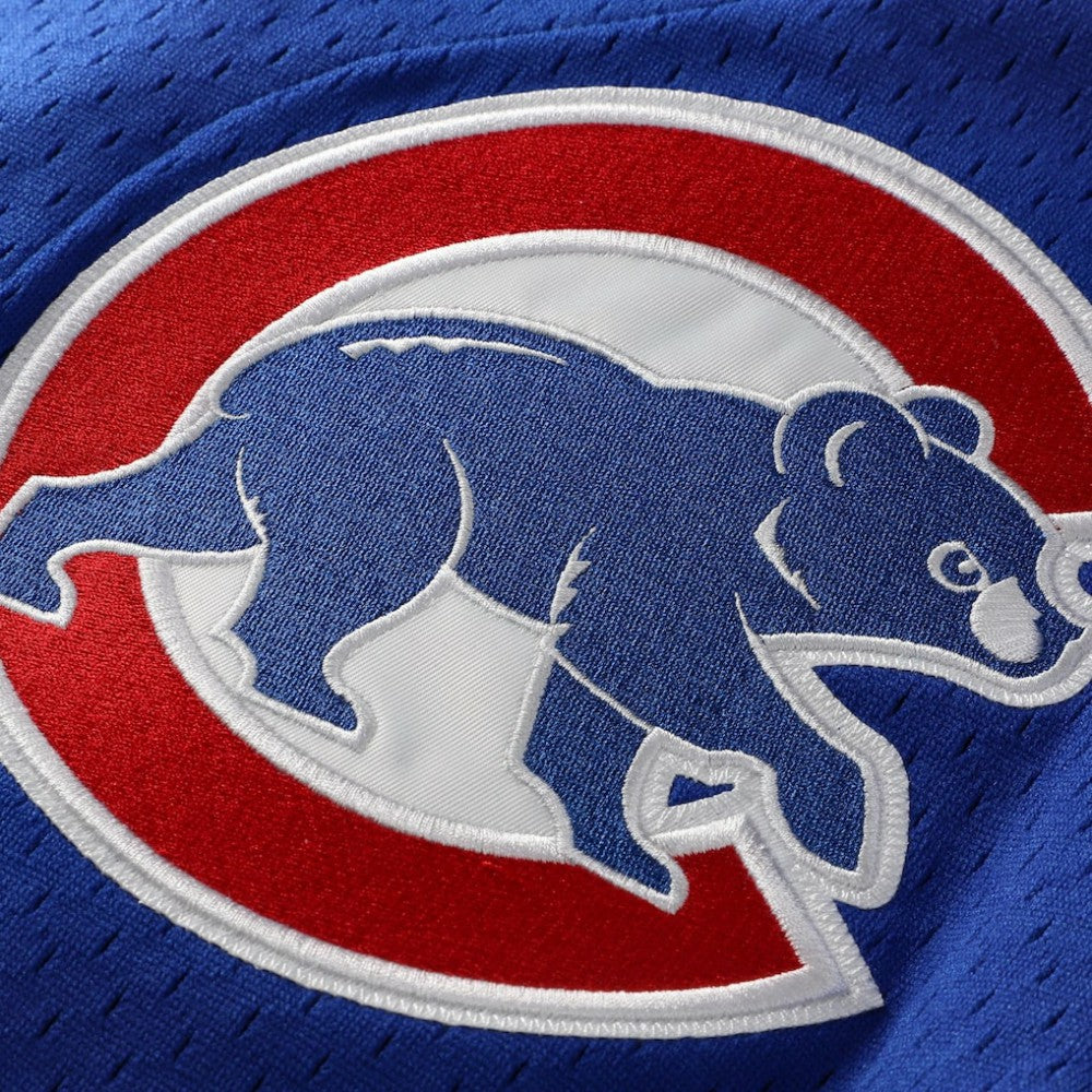 Ryne Sandberg Chicago Cubs Mitchell & Ness Cooperstown Collection 1997 Mesh Batting Practice Button-Up Jersey | MLB US