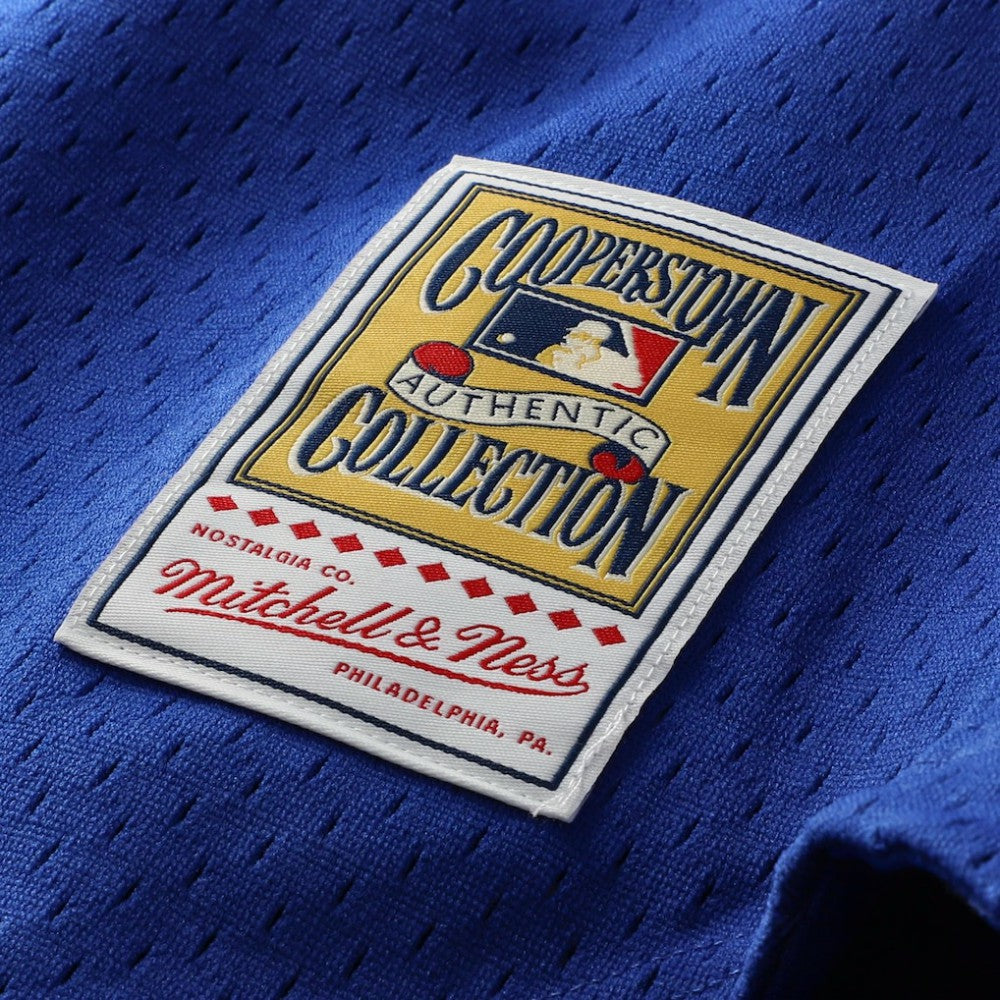 Ryne Sandberg Chicago Cubs Mitchell & Ness Cooperstown Collection 1997 Mesh Batting Practice Button-Up Jersey | MLB US