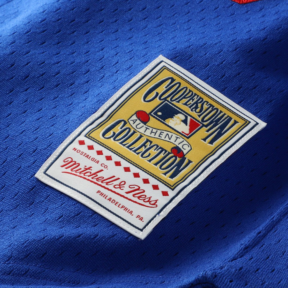 Hideo Nomo Los Angeles Dodgers Mitchell & Ness Cooperstown Collection Mesh Batting Practice Button-Up Jersey | MLB Online
