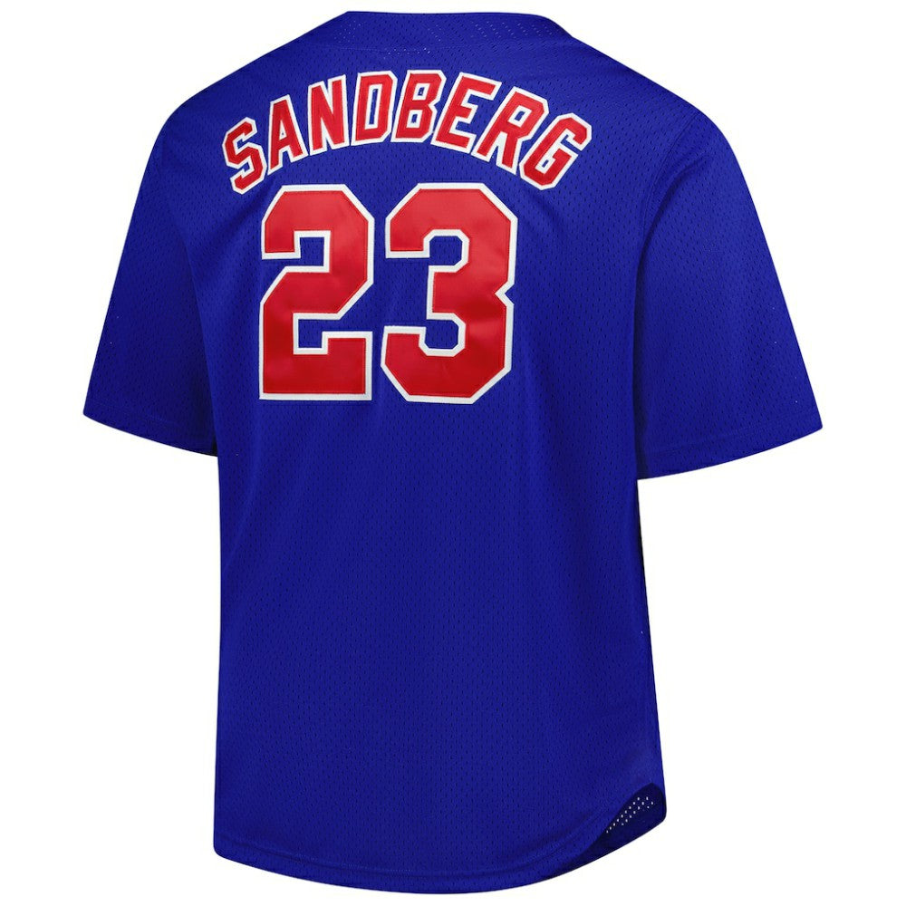 Ryne Sandberg Chicago Cubs Mitchell & Ness Big & Tall Cooperstown Mesh Batting Practice Jersey | MLB US