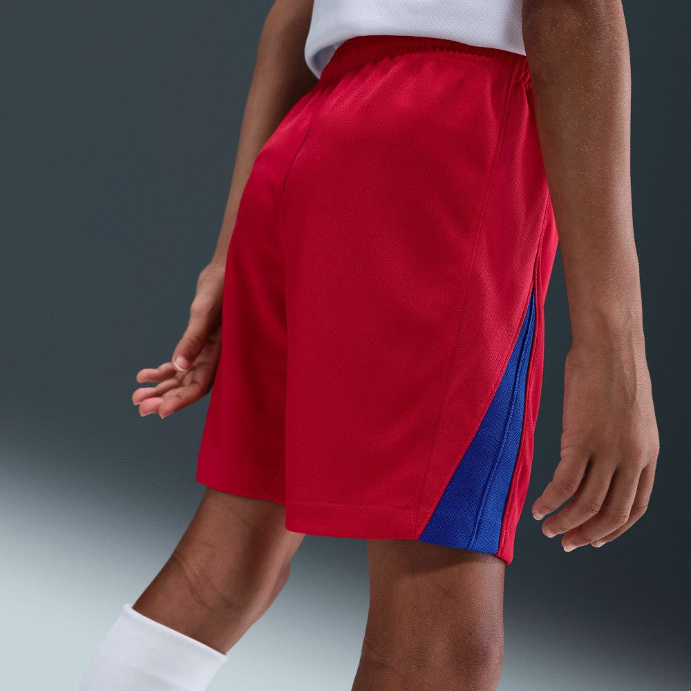 Paris Saint-Germain Youth 2025/26 Dri-FIT Stadium Shorts Red - Nike