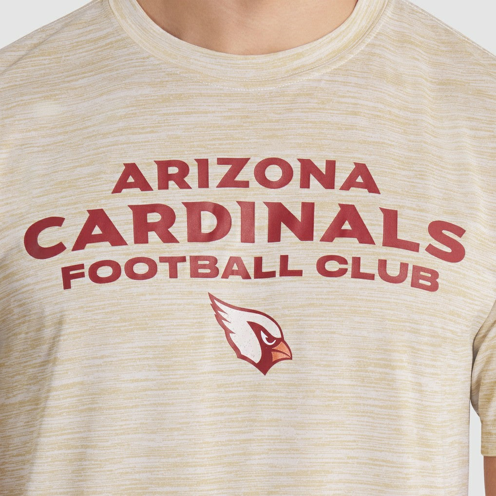 Arizona Cardinals Nike 2025 Rivalries Collection Sideline Velocity Dri-FIT T-Shirt