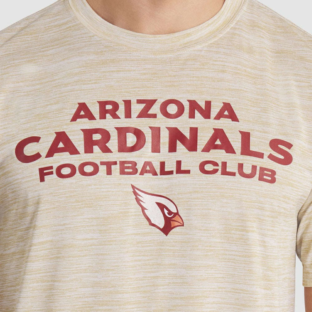 Arizona Cardinals Nike 2025 Rivalries Collection Sideline Velocity Dri-FIT T-Shirt