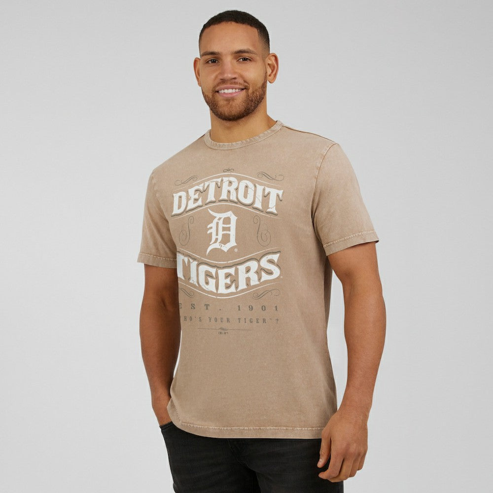 Detroit Tigers Darius Rucker Collection by Fanatics Sun Faded T-Shirt | MLB Sale