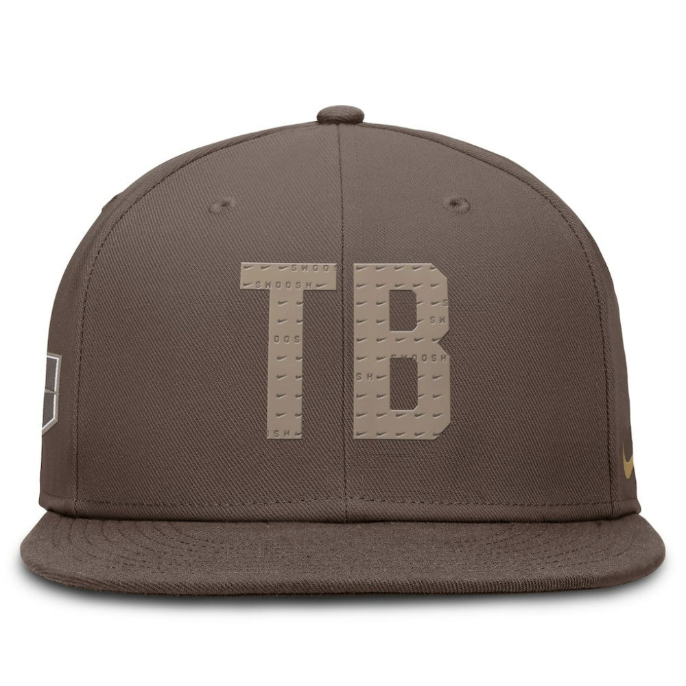 Tampa Bay Rays Nike True Statement 20th AnniversaryPerformance Fitted Hat | MLB Sale