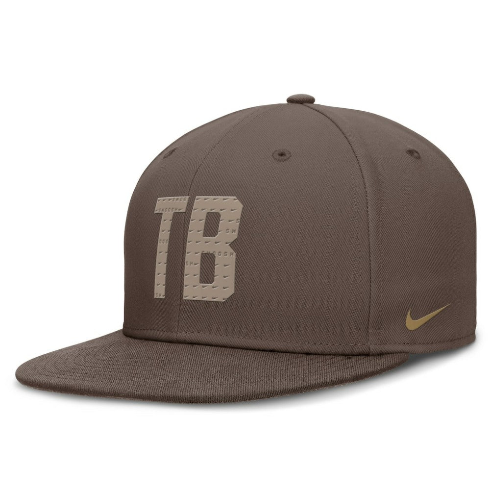 Tampa Bay Rays Nike True Statement 20th AnniversaryPerformance Fitted Hat | MLB Sale