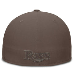 Tampa Bay Rays Nike True Statement 20th AnniversaryPerformance Fitted Hat | MLB Sale
