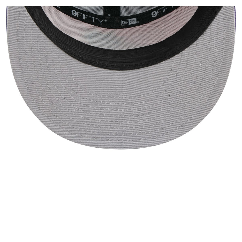 Phoenix Suns Outdoor Split Panel 9FIFTY Snapback Hat For Sale